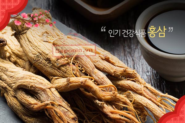 Hồng sâm là gì? Tác dụng thực của hồng sâm Hàn Quốc