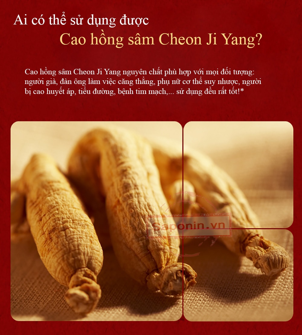 địa chỉ bán cao hồng sâm uy tín\