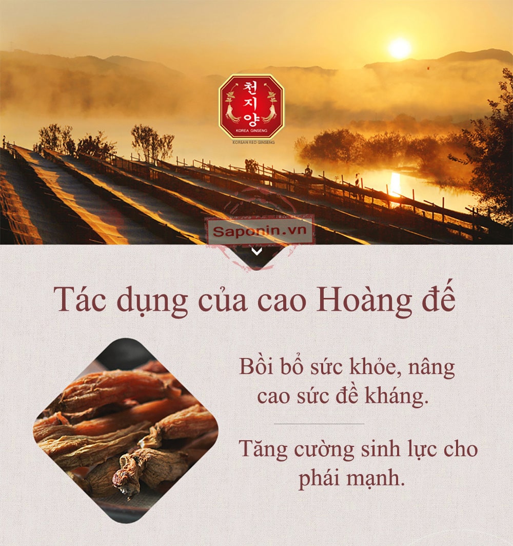 Bán cao sâm Hàn Quốc