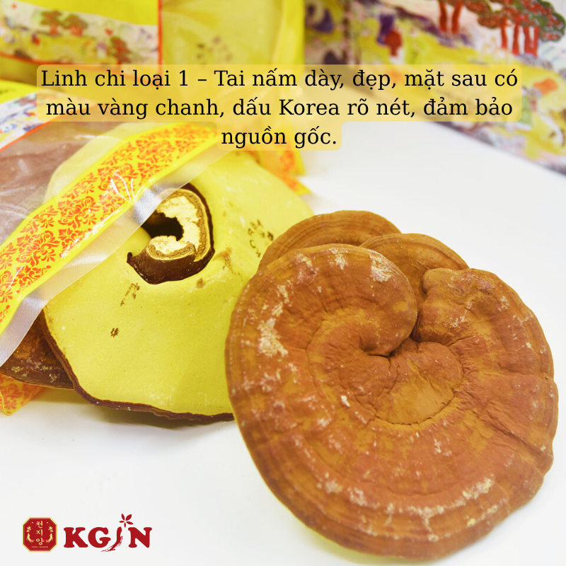 Nấm linh chi núi đá thượng hạng Hàn Quốc